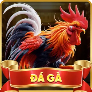 Đăng nhập tài khoản